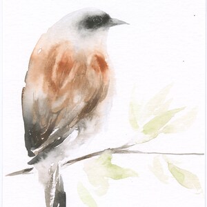 Bird Art Watercolor Original Painting Red-backed Shrike image 2