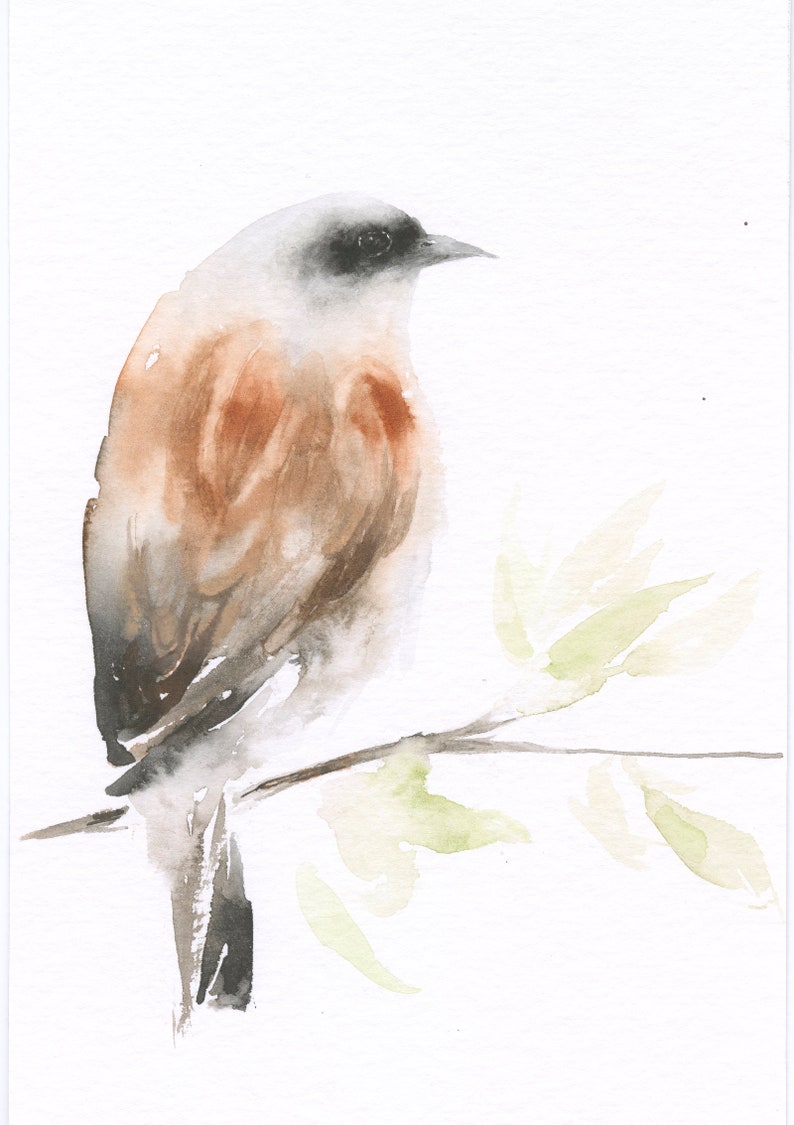 Bird Art Watercolor Original Painting Red-backed Shrike image 2