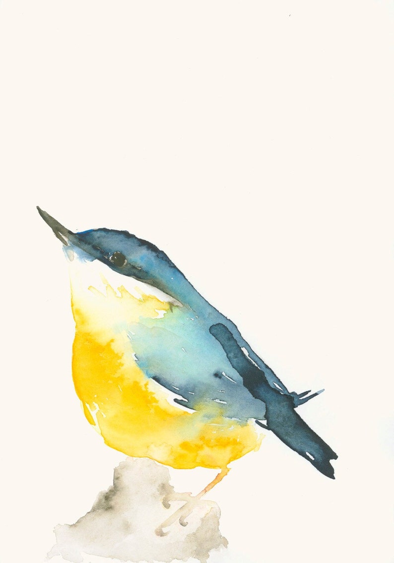 Bird Art Card Nuthatch Blank Greeting Card image 2