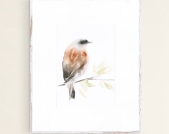 Bird Art Watercolor Original Painting Red-backed Shrike