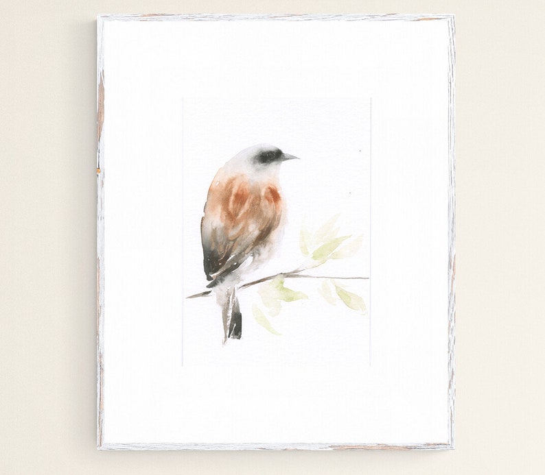 Bird Art Watercolor Original Painting Red-backed Shrike image 1