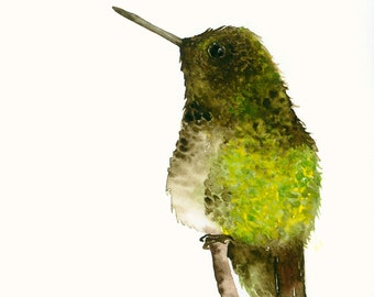Watercolor Art Print Green and Brown Hummingbird
