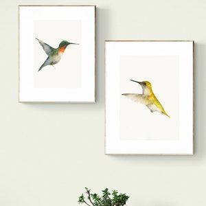 Green and Red Hummingbird Watercolor Bird Art Print, Humming Bird Walle Decor image 3