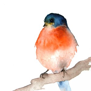 Impresión artística en miniatura de una Reinita de garganta azul, 10 x 15 cm, pájaro cantor de colores brillantes sobre papel de artista, motivo natural colorido en formato miniatura
