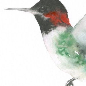 Hummingbird Watercolor Original Black red and Green Hummingbird image 3