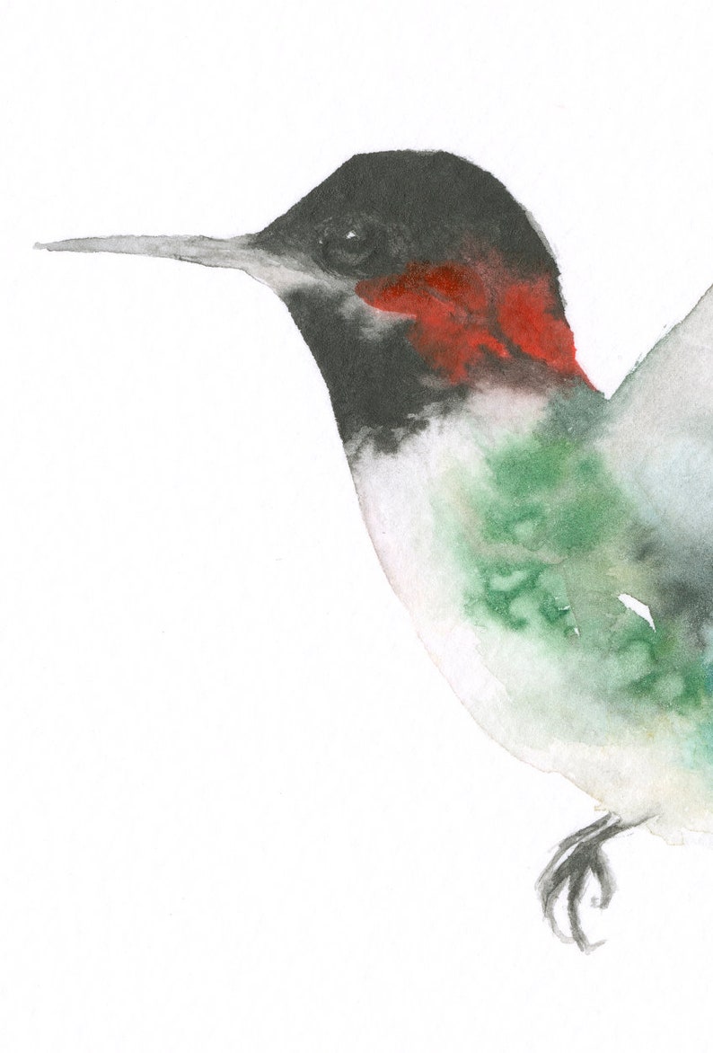 Hummingbird Watercolor Original Black red and Green Hummingbird image 3