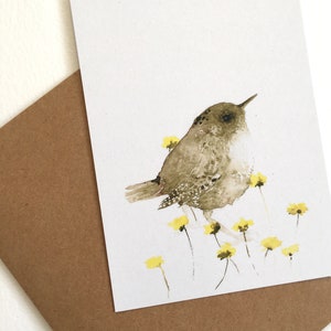Postkarten Set Heimische Vögel, Nachhaltige Natur Postkarten Bild 2