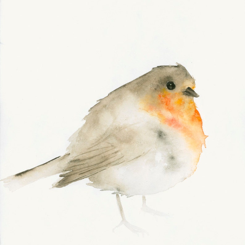 Robin Watercolor Art Print Gardenbird Wall Decor image 1