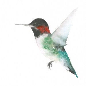 Hummingbird Watercolor Original Black red and Green Hummingbird image 1