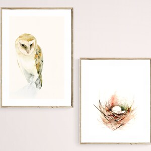 Barn Owl Watercolor Print Bird Wall Art, Gift for Owl Lover image 6