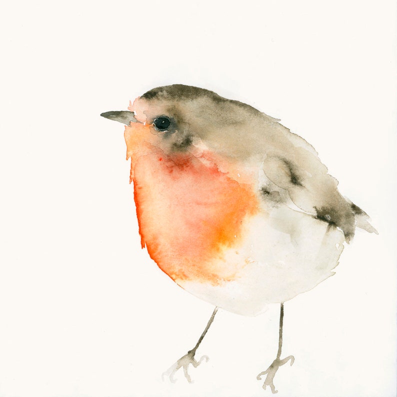 Red Robin Bird Watercolor Art Print image 4