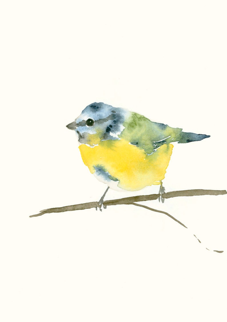 Blue Tit Bird Watercolor Print Garden Bird Wall Decor image 2