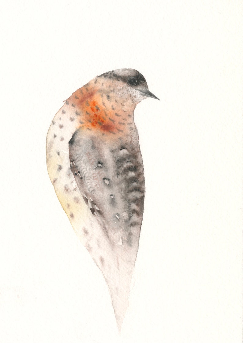 Original Bird Watercolor Wryneck image 2