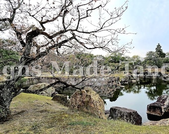 May include: A scenic landscape featuring a pond surrounded by rocks and lush greenery. A large tree with bare branches frames the scene, with the text "Designs Made Tangible" overlaid on the image.