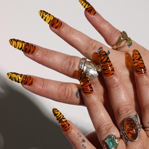 May include: Long, pointed fingernails with a tiger stripe design in shades of yellow, orange, and black. The hand also features several rings with various gemstones and metalwork.