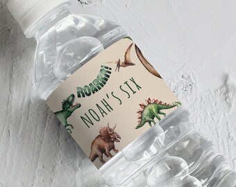 Dinosaur Birthday Water Bottle Label: Editable Dino Party Decor Template
