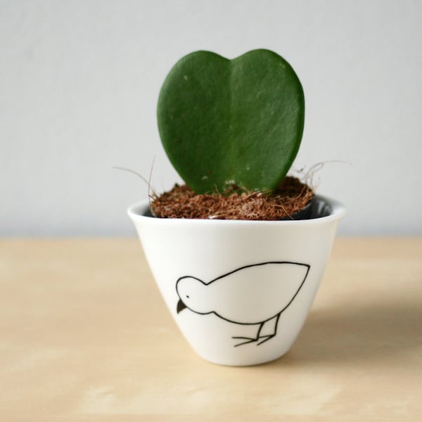 Mini planter with a bird - Kiwi bird mini bowl