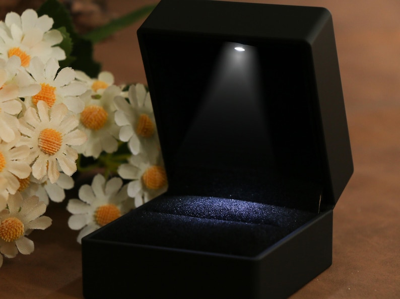 K&ouml;nnte beinhalten: Eine schwarze Ringschatulle mit offenem Deckel, beleuchtet von einem kleinen Scheinwerfer. Der Innenraum ist mit dunklem Stoff ausgekleidet. Wei&szlig;e G&auml;nsebl&uuml;mchen mit gelben Zentren befinden sich im Hintergrund.