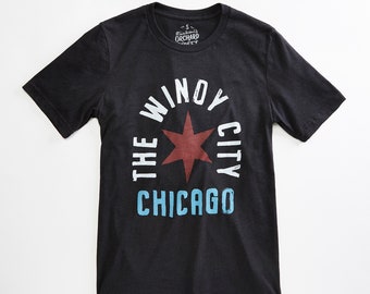 Chicago Arch Heather Black Unisex T Shirt for Men Women. Windy City T Shirt.