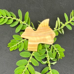 May include: A light brown, wooden shark-shaped object rests on a bed of bright green leaves. The shark has a smooth, polished surface with natural wood grain. The leaves are arranged around the shark against a dark background.