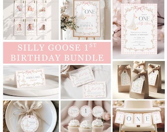 One Silly Goose Birthday Bundle, Gingham Party Templates, Pink First Party Decoration, Custom Birthday Signs, Custom 1st Birthday Deco P11