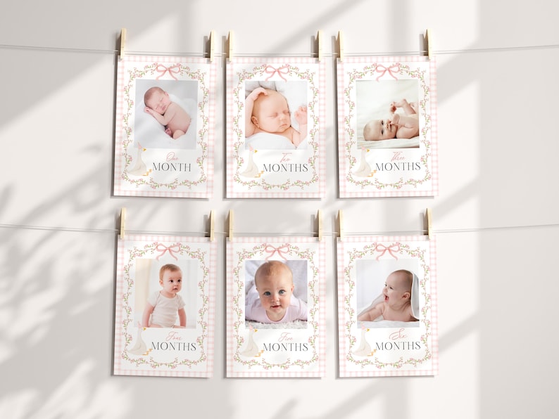 May include: Six baby milestone photo cards hanging on a string. Each card features a baby photo framed with a floral design and the word "MONTHS". The background is a pink and white gingham pattern, with a pink bow at the top.