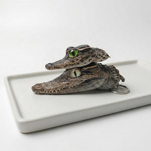 May include: Two detailed alligator head keychains, one stacked on top of the other, with realistic textured skin and green eyes. The bottom keychain has a silver keyring attached. The keychains are displayed on a white rectangular tray.