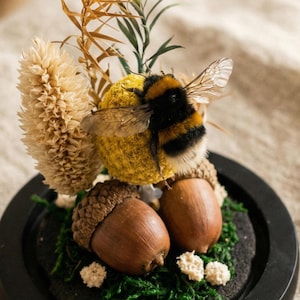 Cúpula de cristal de taxidermia de abejorro real: una rareza única, una decoración peculiar para el hogar, el regalo perfecto