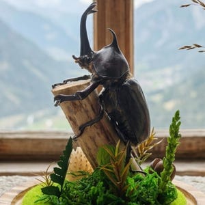 May include: A set of three ceramic nesting bowls in shades of blue, green, and white. The bowls feature a speckled glaze and a simple, modern design. The largest bowl measures approximately 6 inches in diameter.