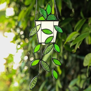Puede incluir: Un macetero colgante de vidrieras con una maceta blanca y hojas verdes. Las hojas son de varios tonos de verde y tienen una apariencia texturizada. El macetero cuelga de una cadena plateada, ideal para decoración.