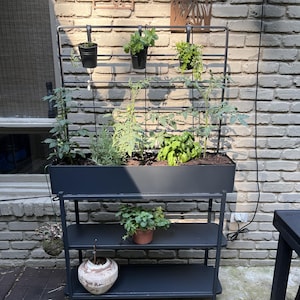Op de afbeelding: Een zwarte metalen plantenstandaard met meerdere niveaus en een ingebouwd trellis. De standaard bevat verschillende potplanten, waaronder kruiden en kleine tomatenplanten. De achtergrond is een bakstenen muur.