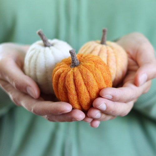 Needle Felted Pumpkin Pattern PDF Tutorial Digital Etsy