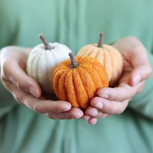 May include: Three small, handmade pumpkins in varying shades of orange and cream are held in cupped hands against a soft green background. The pumpkins have textured surfaces and brown stems, suggesting a fall or harvest theme.