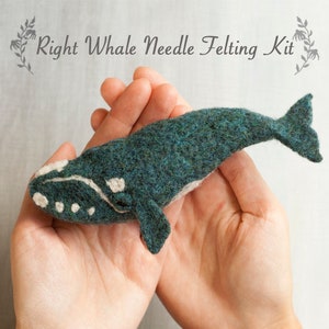 Needle Felting Kit - Right Whale