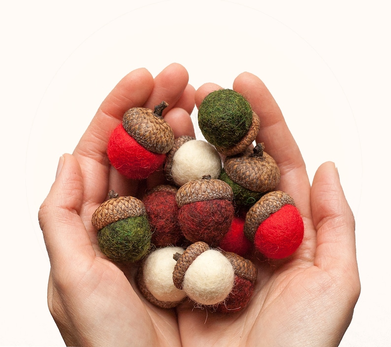 Holiday Felted Acorn Kit Christmas Beginner Easy Winter Decor Wet Felting Crafts Kids Decoration DIY Complete Kit image 1