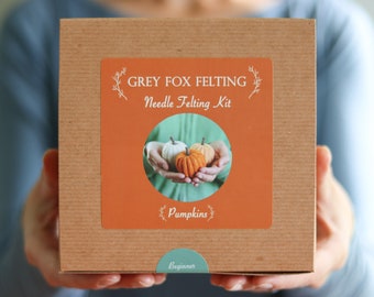 Needle Felted Pumpkins Kit - Vilt kit - Craft Kit - Vilt - Herfst Crafting - Leren voelen - Complete Kit - Tutorial - Craft Party