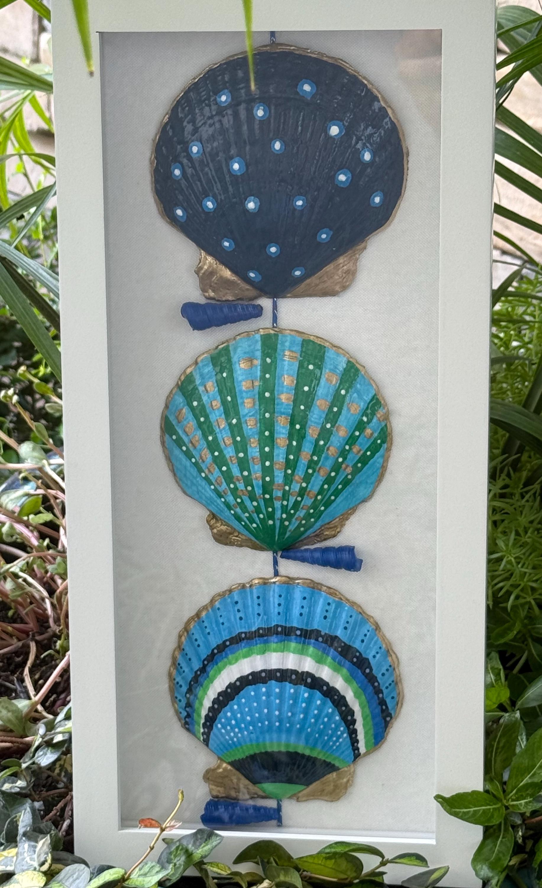 Hand Painted Seashells Shadow Box - Etsy
