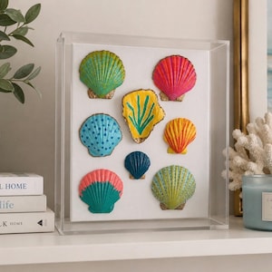 May include: A clear acrylic shadow box frame containing eight decorative seashells arranged on a white background. The shells are painted in vibrant colours including green, pink, yellow, blue, and orange, featuring patterns like dots and stripes.