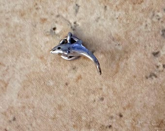 Sterling Silver Dolphin charm