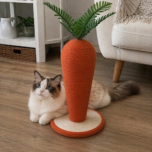 May include: An orange carrot-shaped cat scratcher with green leafy top. The scratcher is made of woven material and sits on a round base. A fluffy cat with blue eyes is lying next to the scratcher.
