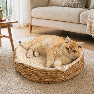 Peut inclure: Un chat roux aux yeux verts se repose dans un panier rond et tressé pour chat. Le lit est fait de fibres naturelles et possède un intérieur rembourré de couleur claire. Le chat est allongé sur un tapis beige dans un salon.