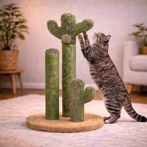 Kaktus kratzbaum - Etsy Schweiz
