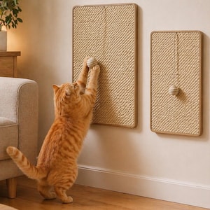 Puede incluir: Un gato atigrado naranja juega con un juguete de bola colgante unido a un rascador de sisal. El rascador tiene un marco de madera y está montado en una pared blanca. También se ve un segundo rascador más pequeño.