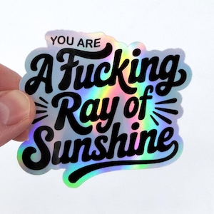 May include: Holographic sticker with the text "YOU ARE A Fucking Ray of Sunshine" in black script. The sticker has a rainbow sheen and a black border. The sticker is held by a hand against a white background.