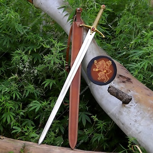May include: A silver-toned steel sword with a gold-coloured crossguard featuring a red stone inlay, a textured gold handle with a red pommel stone, and a brown leather scabbard. A circular brown shield with a gold lion emblem is also present.