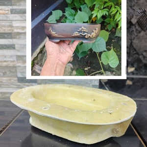 May include: A brown bonsai pot with a landscape design in relief. The rectangular pot has a dark brown base and a lighter brown rim. The pot is held in a hand against a background of green foliage.