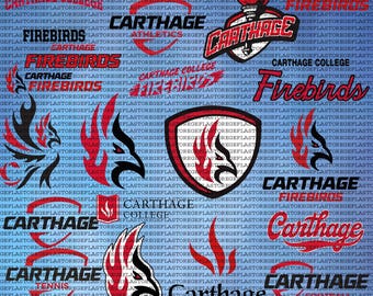 Layered Carthage College SVG, Cricut, Firebirds SVG, Athletics, Football, University, png,pdf, Instant Download.
