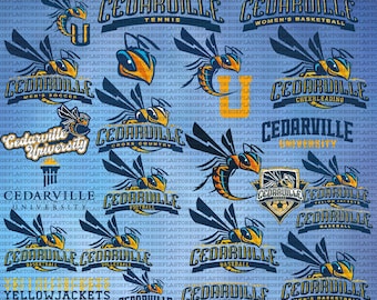 Layered Cedarville University SVG, Athletics, Yellow Jackets PNG, Cricut, College, Football, Instant Download.