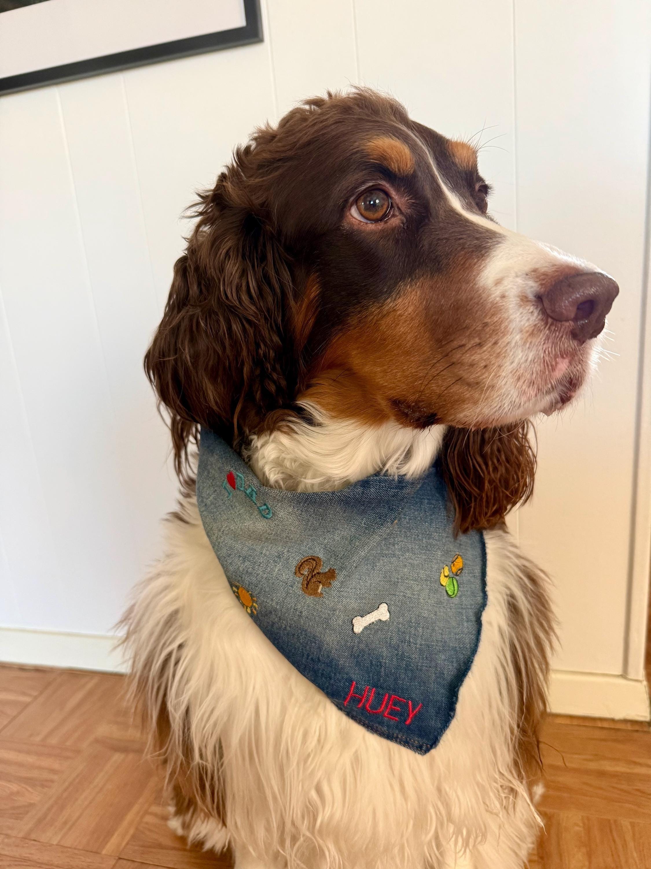 Embroidered "Favorite Things" Denim Dog Bandana, Customizable