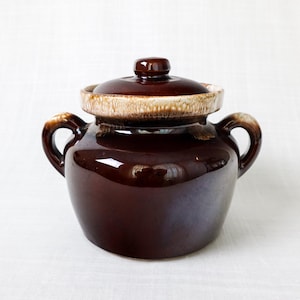 May include: A vintage brown ceramic jar with a lid. The jar has two handles and a glossy finish. The lid is a darker brown with a tan rim. The jar is likely used for storage or decoration.